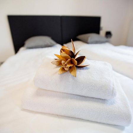 Exclusive Penzion Viva Residence Mladá Boleslav المظهر الخارجي الصورة