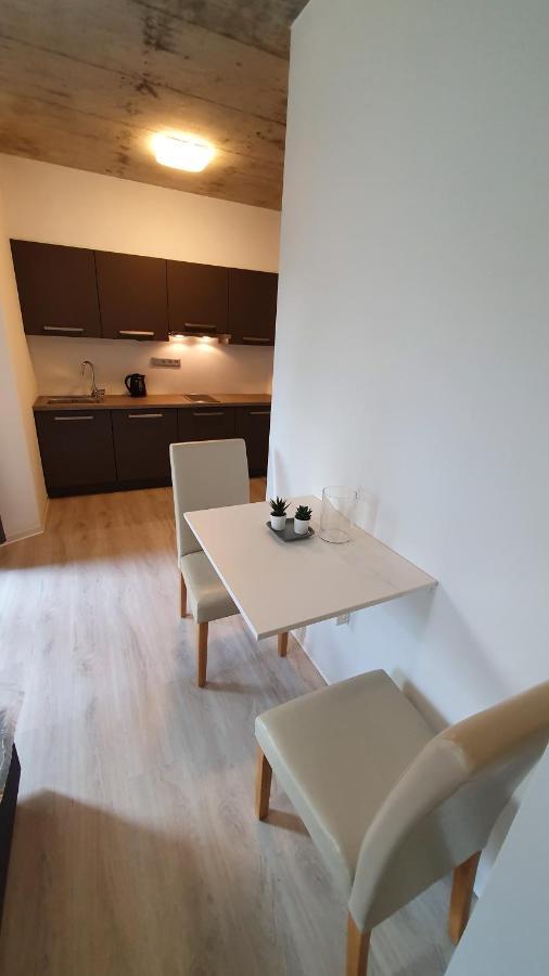 Exclusive Penzion Viva Residence Mladá Boleslav المظهر الخارجي الصورة